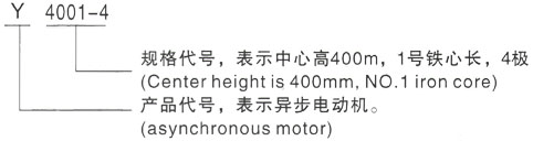 西安泰富西玛Y系列(H355-1000)高压YE2-225S-4三相异步电机型号说明